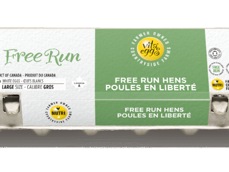 Vita Eggs - White Free Run Eggs, 12 Large For Sale