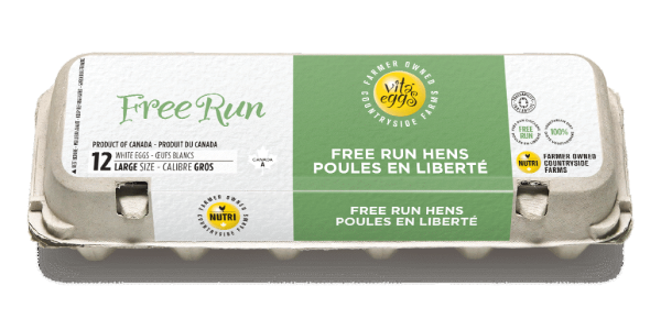 Vita Eggs - White Free Run Eggs, 12 Large For Sale