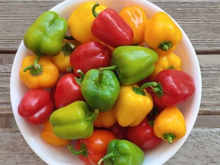 Cookstown Greens - Organic Mini Sweet Peppers, 227g Hot on Sale