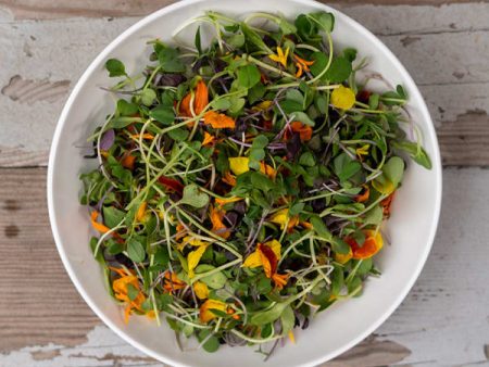 Cookstown Greens - Organic Seedling Salad, 100g Supply