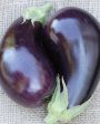 West Coast Seeds - Organic Traviata Online now