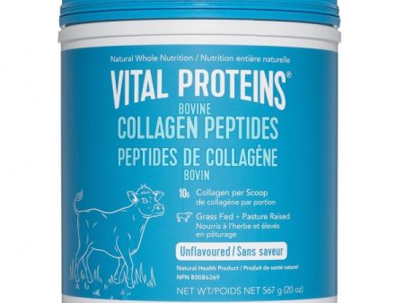 Vital Proteins - Collagen Peptides, Bovine, 567g Cheap