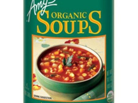 Amy s Kitchen - Organic Alphabet Soup, 398 mL Discount