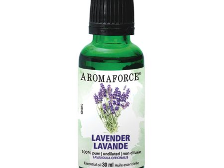 Aromaforce - Lavender Essential Oil - 30ml Online Hot Sale