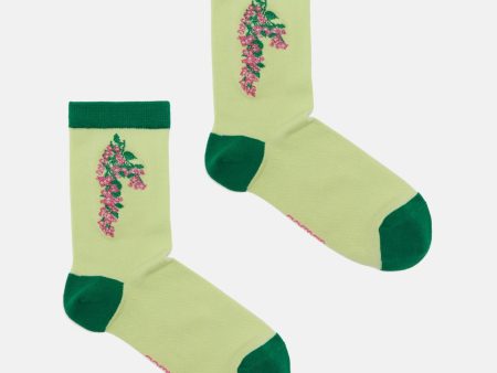 Monte Carlo Flower Mesh Sock Online Hot Sale